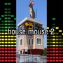 house mouse 2