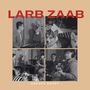 Larb Zaab