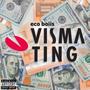 Visma Ting (Explicit)