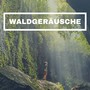 Waldgeräusche: Natur klingt, Klavier und entspannende Musik