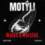 MOTÝLI (feat. Wales) [Explicit]