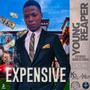 Expensive (feat. Young Reaper) [Explicit]