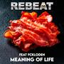 Meaning of Life