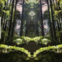 Forest of Wisdom (Explicit)
