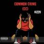 Common crime (Explicit)