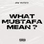 What Mustafa Mean ? (Explicit)