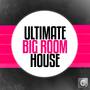 Ultimate Big Room House