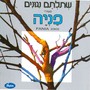 שתלתם נגונים