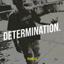 Determination. (Explicit)