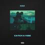 Catch A Vibe (Explicit)