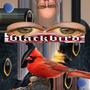 blackbird (feat. denter) [Explicit]
