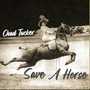 Save a Horse