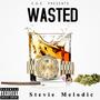 Wasted (Explicit)