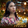 Con Khóc Rồi Mẹ Ơi