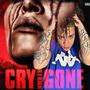 Cry When Im Gone (Explicit)