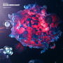 Shifting Sands EP