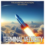 Terminal Velocity