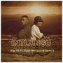 Intlungu (feat. Beka Wenzan & Sipho S)