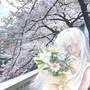 抵赖