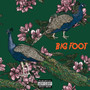 BIG FOOT (feat. BIG FAF) [Explicit]