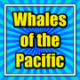 Whales of the Pacific