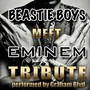 Beastie Boys Meet Eminem Tribute