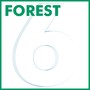 Forest 6