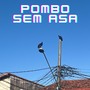 Pombo Sem Asa