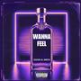 Wanna Feel (Slowed Version) [Explicit]