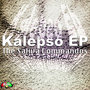 Soul Shift Music: The Saliva Commandos Kalepso EP