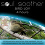 Bird Joy (4 Hours) for Relaxation, Meditation, Reiki, Massage, Tai Chi, Yoga, Aromatherapy, Spa, Deep Sleep and Sound Therapy