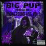 Undaground Hog, Vol. 1 (Dripped & Sauced Up) [Explicit]