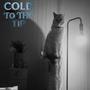 Cold To The Tip (feat. Bradloha & E9CHE) [Explicit]