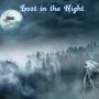 Lost In The Night (Explicit)