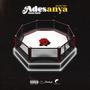 ADESANYA (feat. Diane Dddd)