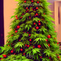 Cristmas Tree