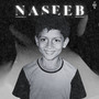 NASEEB