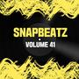 Snap Beatz Vol.41