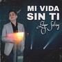 Mi Vida Sin Ti