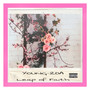 Leap of Faith (Explicit)
