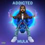 Addicted (Explicit)