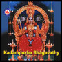 Kadampuzha Bhagavathi