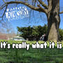 Its really what it is (Explicit)