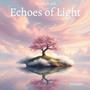 Echoes of Light (The Shift 12D) [Explicit]