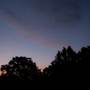 evening walk