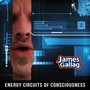 Energy Circuits of Consciousness