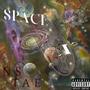 Space X (Explicit)