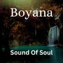 Sound Of Soul