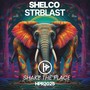 Shake The Place (Original Mix)