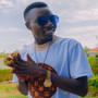 Princely UG Music